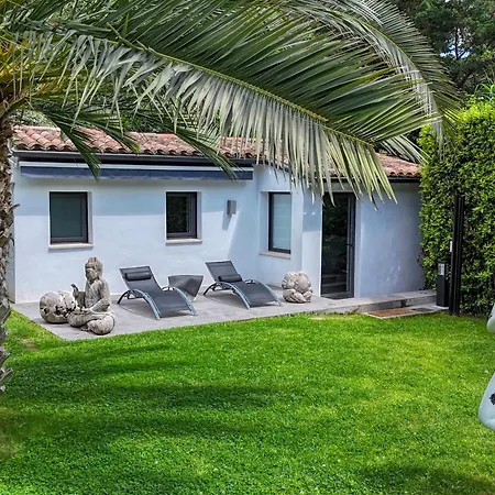 Villa Modern 5 Minutes From Place Des Lices *